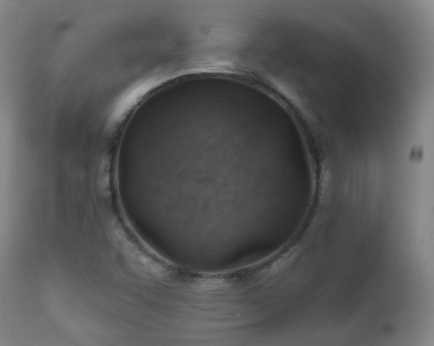 X0000110981455200906191353