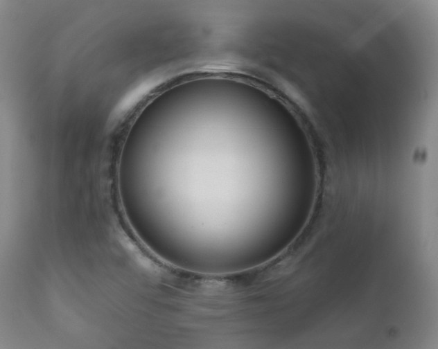 X0000110981456200906191353