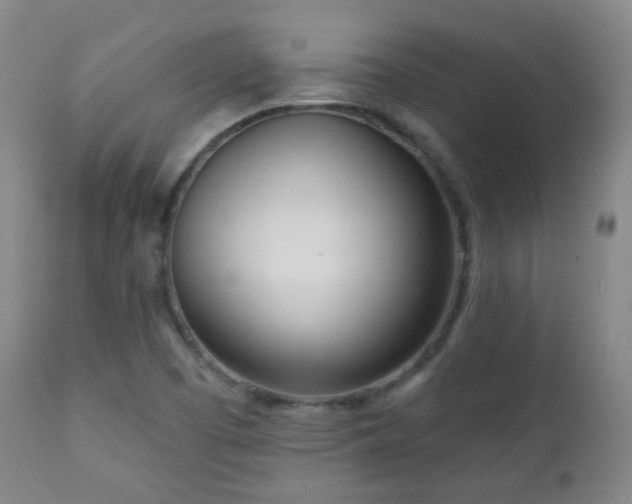 X0000110981457200906191353