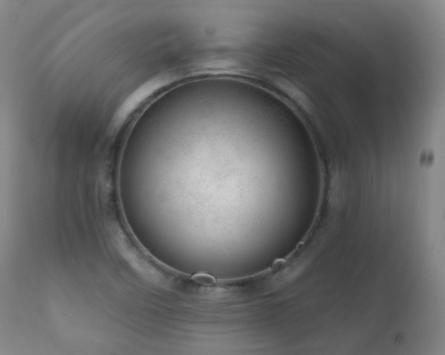 X0000110981458200906191353