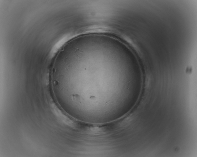 X0000110981459200906191353