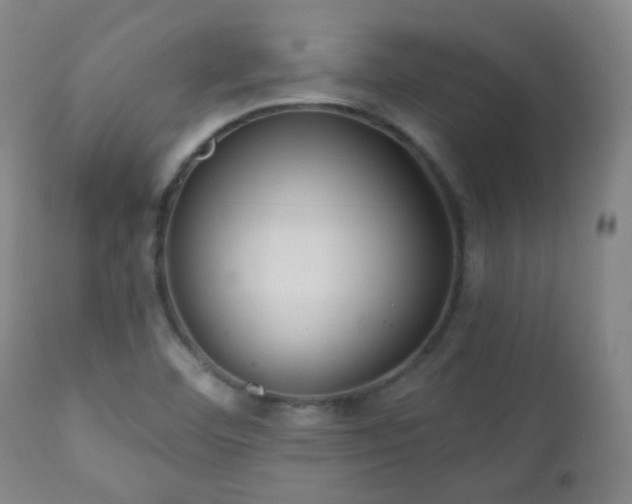 X0000110981460200906191353