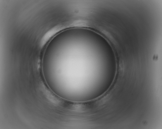 X0000110981461200906191353