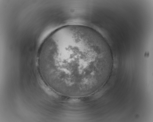 X0000110981462200906191353