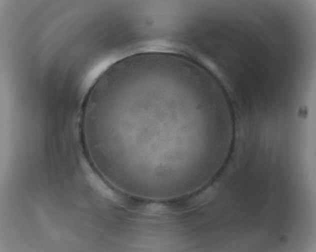 X0000110981463200906191353