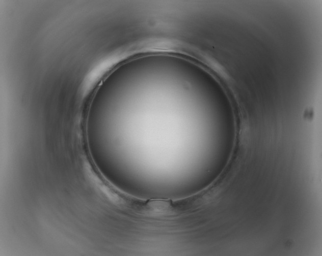 X0000110981464200906191353