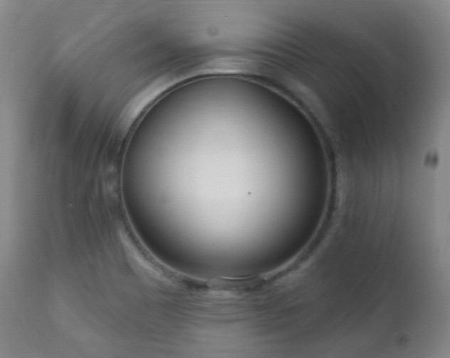 X0000110981465200906191353