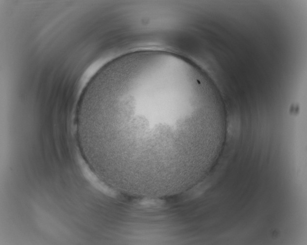 X0000110981466200906191353