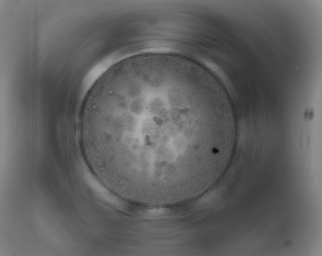 X0000110981467200906191353