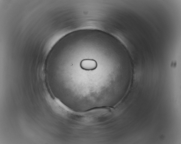 X0000110981468200906191353