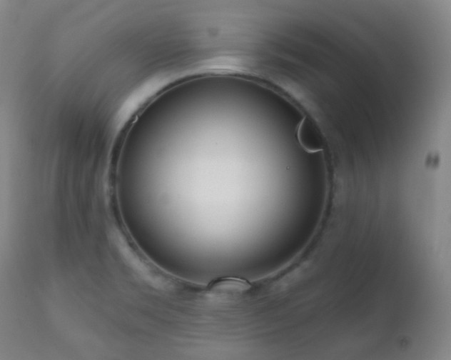 X0000110981469200906191353