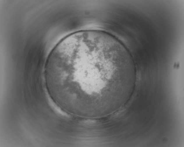 X0000110981470200906191353