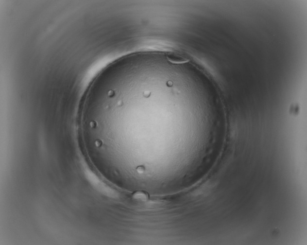 X0000110981471200906191353