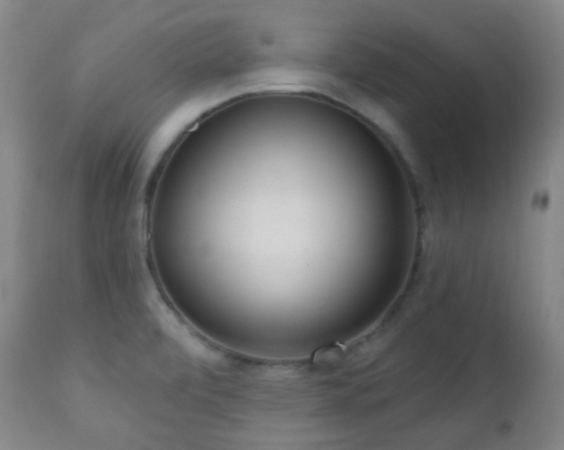 X0000110981472200906191353