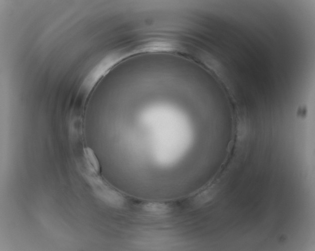 X0000110981473200906191353