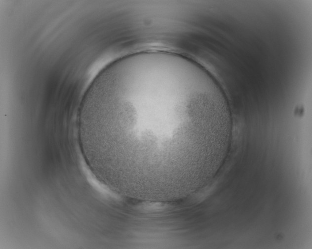 X0000110981474200906191353