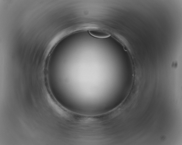 X0000110981475200906191353