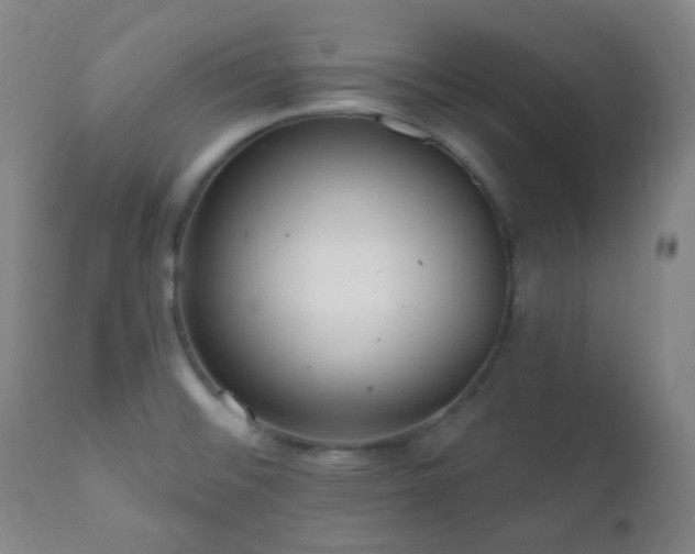 X0000110981476200906191352