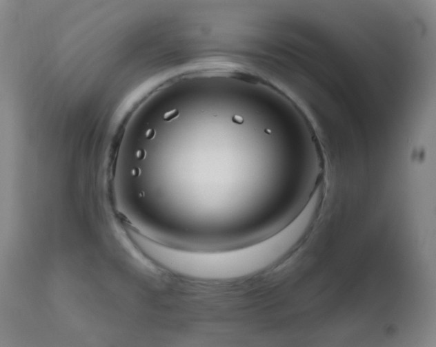 X0000110981477200906191352