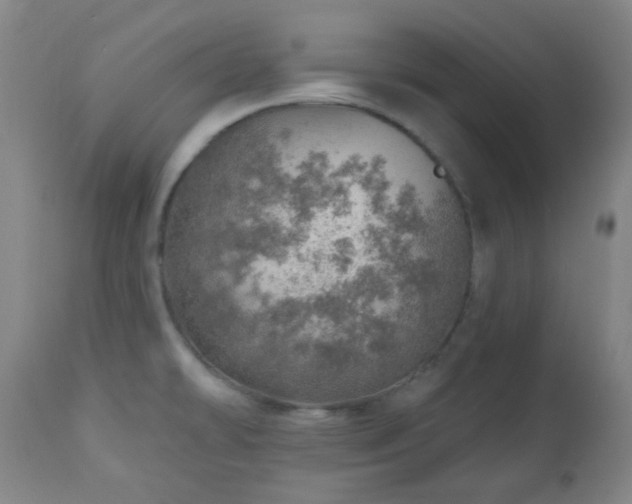 X0000110981478200906191352