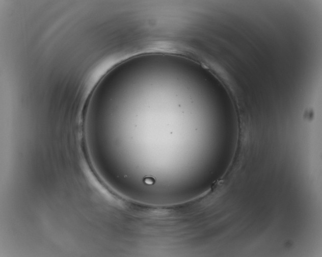 X0000110981479200906191352