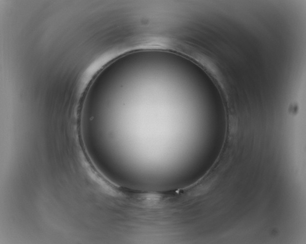 X0000110981480200906191352