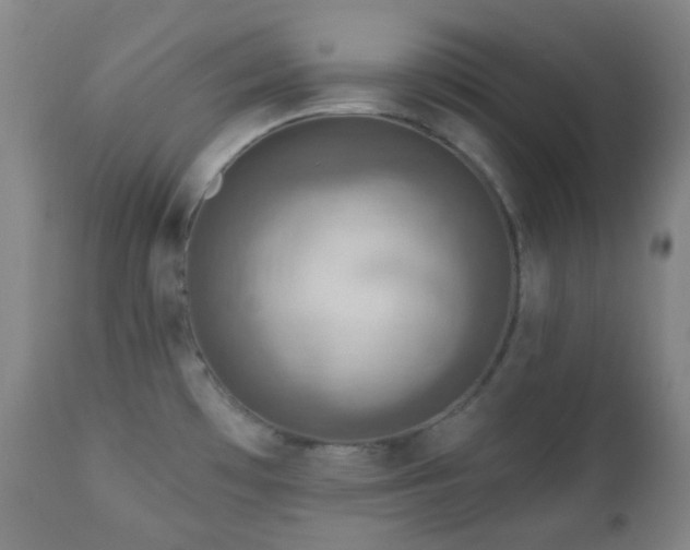 X0000110981481200906191352