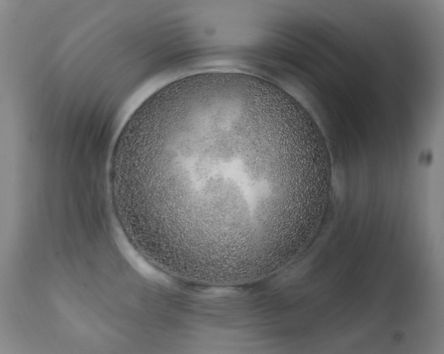 X0000110981482200906191352