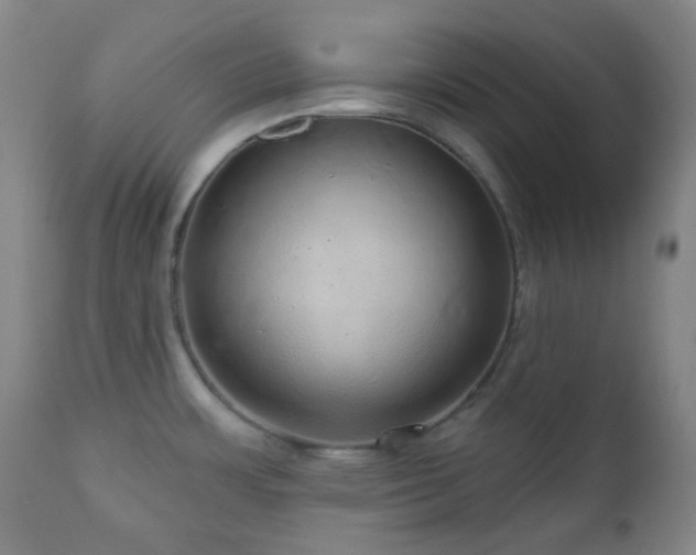 X0000110981483200906191352