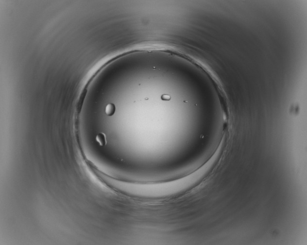 X0000110981484200906191352