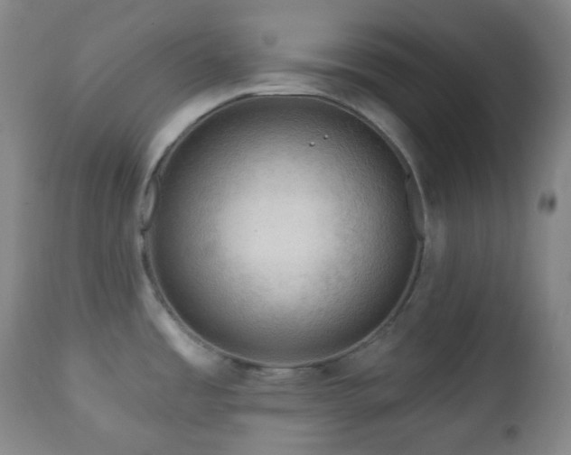 X0000110981485200906191352