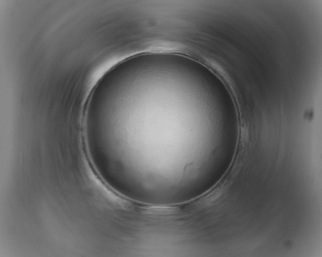 X0000110981487200906191352