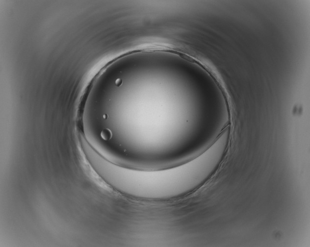 X0000110981488200906191352