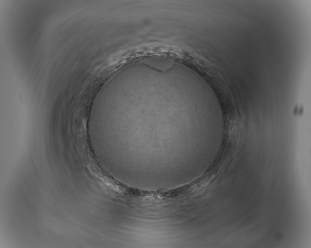 X0000110981489200906191352