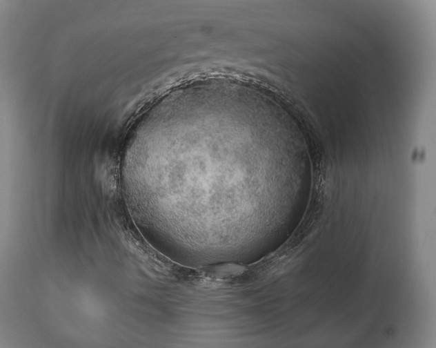 X0000110981490200906191352