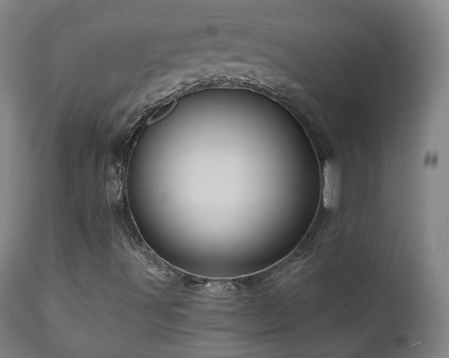 X0000110981491200906191352