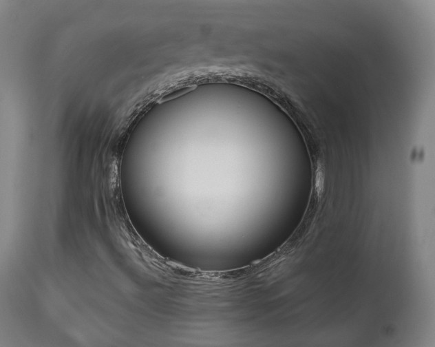 X0000110981492200906191352