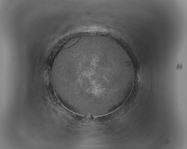 X0000110981493200906191352