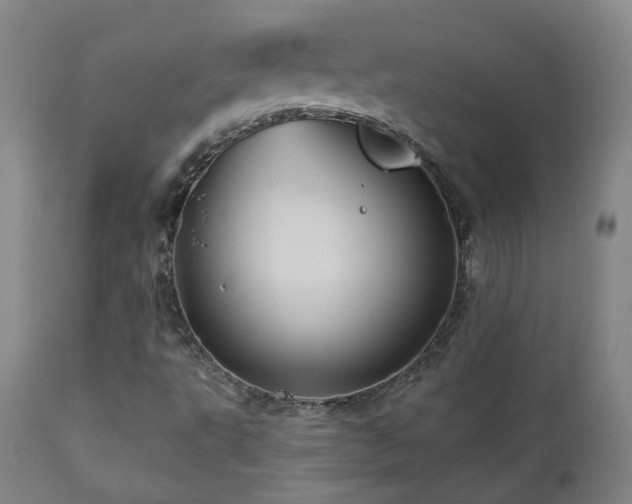 X0000110981495200906191352