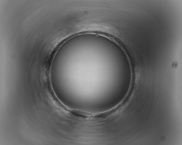 X0000110981497200906191352