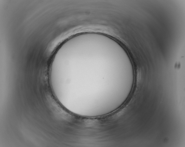 X0000110981498200906191352