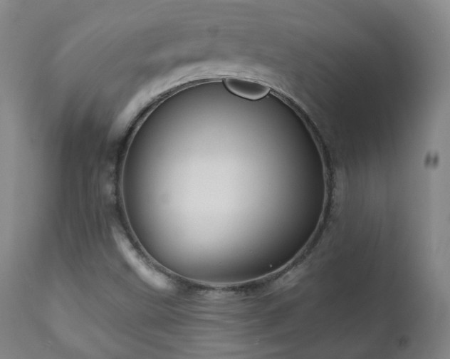 X0000110981499200906191352