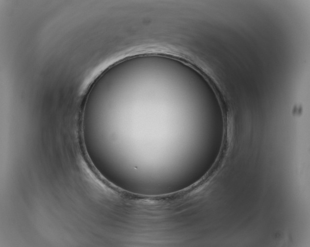 X0000110981500200906191352