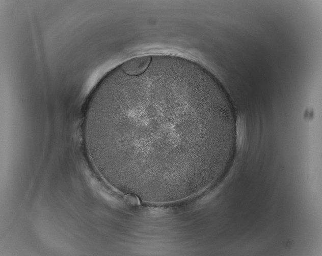 X0000110981501200906191352