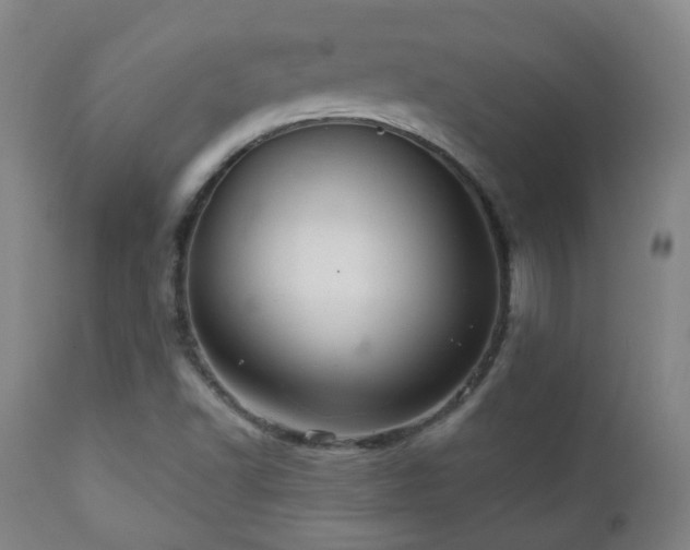 X0000110981502200906191352