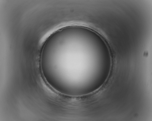 X0000110981504200906191352