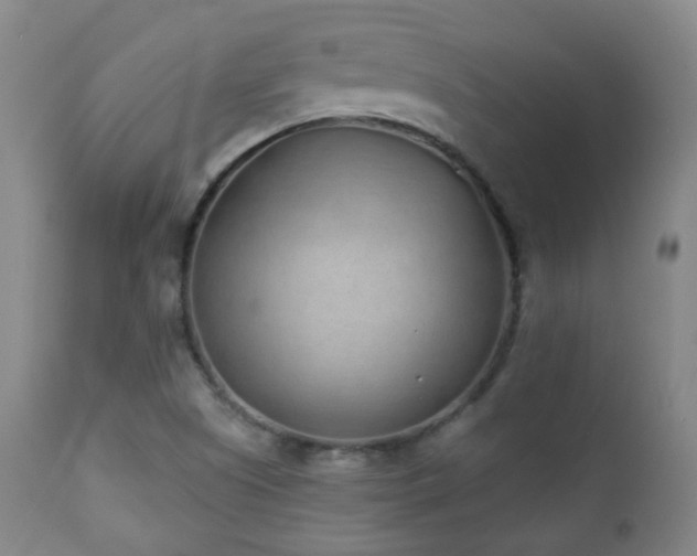 X0000110981505200906191352