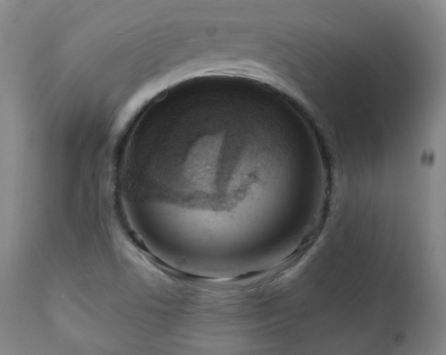 X0000110981506200906191352