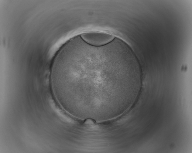 X0000110981507200906191352