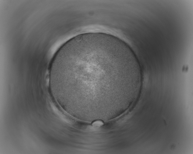 X0000110981509200906191352